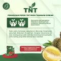 Pupuk Organik TNT 15 gram/sachet 10 sachet/box. 