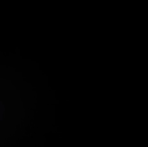 [FlowerWorld]Artificial Bunga Lily 1 tangkai 3 Cabang Bahan Kain / Bunga Artficial Lily Bunga Palsu Plastik Buatan Imitasi Hias Dekor Buket Bouquet Rumah Pesta/Bunga Hias Plastik/Bunga Hias Plastik Murah Dan Import/Bunga Hias Per Tangkai