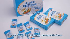 YILING 2 Pack Lianhua Qingfei Sugar-free Lozenge Quickly Relieve Throat Discomfort Care for The Throat Cool and Refreshing Fresh Breath