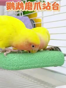 VOA | Parrot Claw Grinding Stick & Beak Toy