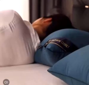 【Fernca Mall】Hilton Pillow Buy 1 Take 1 Authentic Hilton Hotel Pillows fiber pillow COD