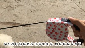One Handed Lock Retractable Cat Dog Leash Auto-Traction Rope Automatic Extending Pet Auto Leash 5M