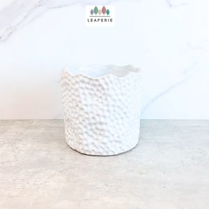 The Leaferie Zacharie plant pots. flowerpot . flowerpots . flower pot . planter . planters . Ceramic. Plants