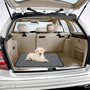 Quick Drying Dog Training Pad: A Comprehensive Guide