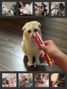 CIAO Churu Cat Creamy Stick Snack Treat Wanpy Cat Stick / Makanan Kucing Snek Kucing / 猫条营养