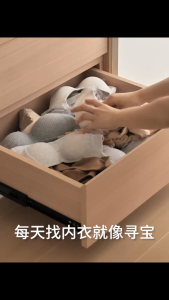 Hanging Wardrobe Organizer | Mesh & Oxford Underwear Bra Sock Storage Bag | 3 Sizes | Space-Saving