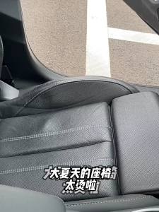 Gel Seat Cushion / Lumbar Back Support / Chair & Car Cushion Pad / Egg Sitter