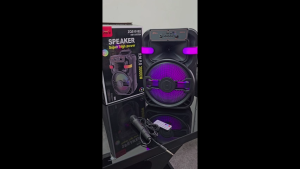 ลำโพงบลูทูธคาราโอเกะ SING-E รุ่น ZQS10102 ขนาด 10 นิ้ว พร้อมไมค์คู่ เสียงดัง เบสหนัก ไฟ RGB