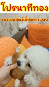 ของเล่นสัตว์เลี้ยงคละแบบ/Homequality.TH/เล่นสนุก น้องหมาชอบ