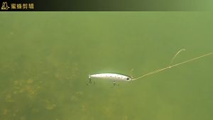 เหยื่อปลอม sinking bait 6.0 ซม จมโคลง เหยื่อปลอมตกปลา New 2024 (มีสินค้าพร้อมส่งในไทย)