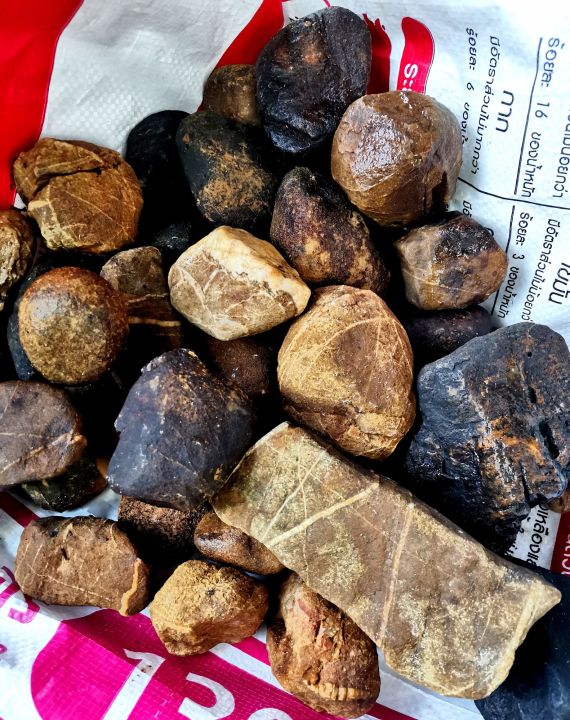 หินแม่น้ำคละสีคละขนาด สำหรับตกแต่งตู้ไม้น้ำและตู้ปลา