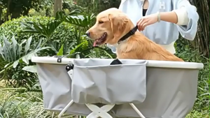 Adjustable Pet Bath Tub Dog Bathtub Cat Bath Tub Dog Bath