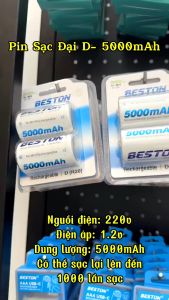 Vĩ 2 Pin Sạc Beston Đại D Beston 5000mAh 1.2V chính hãng  pin bếp gas pin thiết bị y tếđèn pin