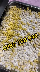 ST106 Máy vo viên tròn cứng làm trân châu bánh nhãn các loại
