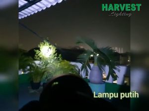 85W HEADLAMP LAMPU LED SENTER KEPALA 3000mAh RECHARGEABLE HARVEST LIGHTING LAMPU TRAVEL HEAD LAMP WATER RESISTANT