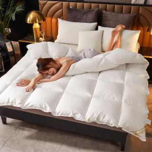 Chăn Lông Vũ Lụa Flannel Dày