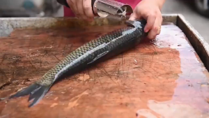 Professional fish scale remover! 200W electric scaler a durable and efficient choice for the seafood market