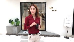 Womens office shirt long sleeve V-neck shirt top OL formal shirt Korean top
