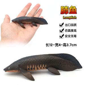 Mô Hình Động Vật Đại Dương Châu Phi Cá Voi Phổi Mô Phỏng Trang Trí Đồ Chơi Cá Chép Cá Hồi Quà Tặng Giáo Dục Cho Trẻ Em