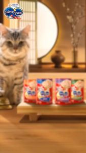 PATE CHO MÈO SILVER SPOON Dạng Thạch & Sốt 60g