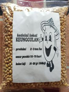 READY STOK!!! 1KG BENIH UNGGUL KEDELAI LOKAL GROBOGAN TERBAIK ANTI PECAH bibit benih tanaman kedelai