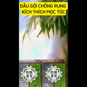 Dầu Gội Gừng Tươi 20g x10 Gói – Giảm Rụng Kích Mọc Tóc Nuôi Da Đầu Khỏe Hương Gừng Thư Giãn