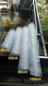 brush filter 60cm sikat kaku besi stainless anti karat media filter kolam ikan koi dan aquarium