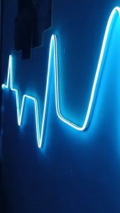 Lampu LED Kamar Tidur Neon Flexible Panjang 1m-5m 220V