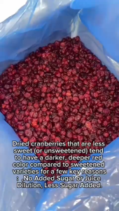 Zizigomall Whole Dried Cranberry WHOLE USA Premium Grade Whole Dried Cranberries Kranberi Kering Sebiji 500gm