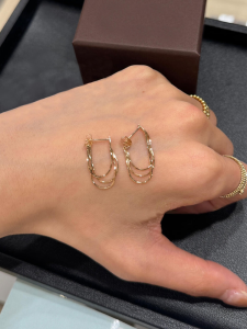 Gold Tassel Earrings Womens Snake Bone Chain Multi-circle Luxury Sensation Summer Fashion Jewelry Earring Accessories