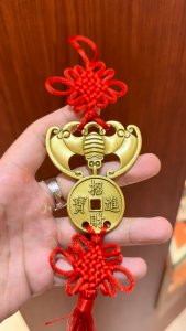 Fengshui Wealth Bronze Bat With Coin