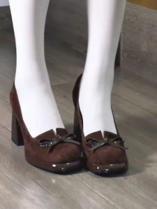 Retro Brown Thick Heel High Heels Womens Elegant Comfortable New 2025 French Mary Jane Shoes Leather Fashionable Flats