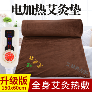 Electric Heating Moxibustion Mat Whole Body Rectangular Heat Therapy Pad for Home Use Beauty Salon Lumbar Support Dehumidifying