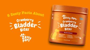Viên Bổ Sức Khỏe Tiết Niệu Bàng Quang Cho Chó Mèo Zesty Paws Cranberry Bladder Bites Tăng Cường Sức Khỏe Thận UT