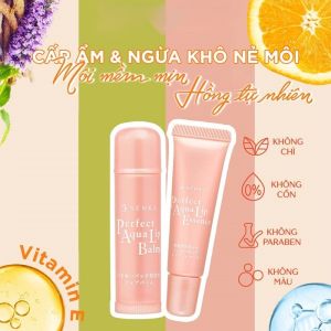 Tinh Chất Dưỡng Môi Ban Đêm Senka 10G Mặt Nạ Ngủ Ủ Môi Cấp Ẩm Ngăn Nẻ Môi Mềm Mịn Hồng Tự Nhiên Senka Perfect Perfect Aqua Lip Essence