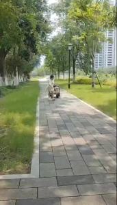 Stall Folding Trolley Picnic Car Camper Childrens Reclining Foldable Trailer Camp Car Outdoor Camper