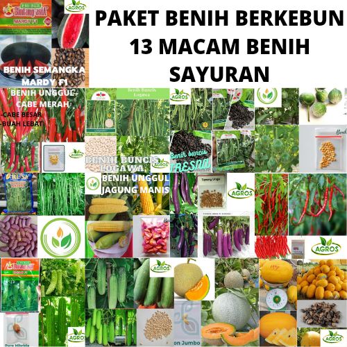 Paket Benih Berkebun 13 Macam Benih Sayuran Lazada Indonesia