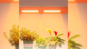 USB-Indoor LED Growth Light USB Quantum Board Plant Supplemental Lighting Hanging 5V Plant Lamp for Indoor Gardening