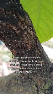 Cairan Pembasmi Hama Tanaman: Solusi Ramah Lingkungan untuk Kebun Anda