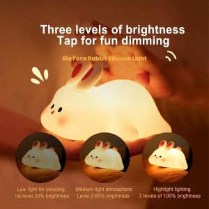 Cute Rabbit Night LightCharging Decorative Table Lamp Timable Animal-Shaped LampTouch-Control LampGift for Her