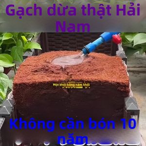 HUAZINIAO | Gạch Sợi Dừa Hữu Cơ Đa Năng Dùng Làm Đệm Dinh Dưỡng