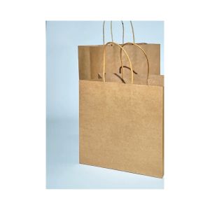 C4850 Túi giấy kraft có quai đựng quà nhiều kích thước(25gai/bó) CINDY