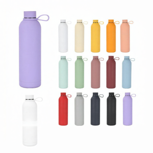 Insulated Thermal Outdoor Sports Car-friendly Matte Water Bottle 750ml