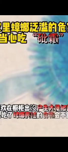 ยาฆ่าแมลงสาบ 6 ชิ้น กับดักแมลงสาบ เหยื่อล่อแมลงสาบ ที่พักแมลงสาบ เครื่องไล่แมลงสาบ ยาฆ่าแมลง ยาฆ่าแมลงสาบ