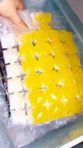 Kantong Cetakan Es Batu Plastik Pembuat Es Disposable Ice Making Bag Food Grade