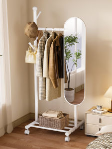 Home Organizer | Full Length Dressing Mirror Coat Rack