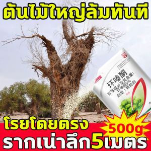 ไผ่ ต้นไม้ 500g ยากำจัดต้นไม้ ผงกำจัดต้นไม้ ผลติดทนนาน ผงกำจัดต้นไม้ใช้เพียงเล็กน้อย สารกำจัดต้นไม้ กำจัดต้นไม้ ผงฆ่าต้นไม้ ยาฆ่าตอไม้