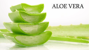 Nisha Hair Dye Henna – Permanent Hair Color Pewarna Rambut 100% Grey Coverage Black / Brown Certified Wudu Friendly Original Natural Formula 60gm