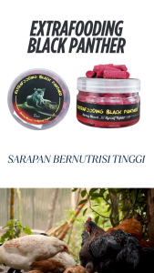 EXTRAFOODING BLACK PANTHER 65 BUTIR - ayam bertenaga agresif