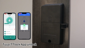 Holakay Smart Cabinet Lock with APP Control Keypad RFID Card Entry Dual Authentication Remote Access for Home Office Drawer Safe